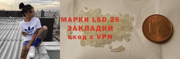 гидра Магас