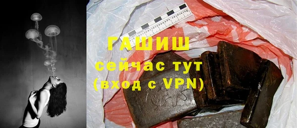 гидра Магас