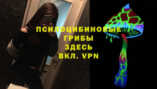 гидра Магас