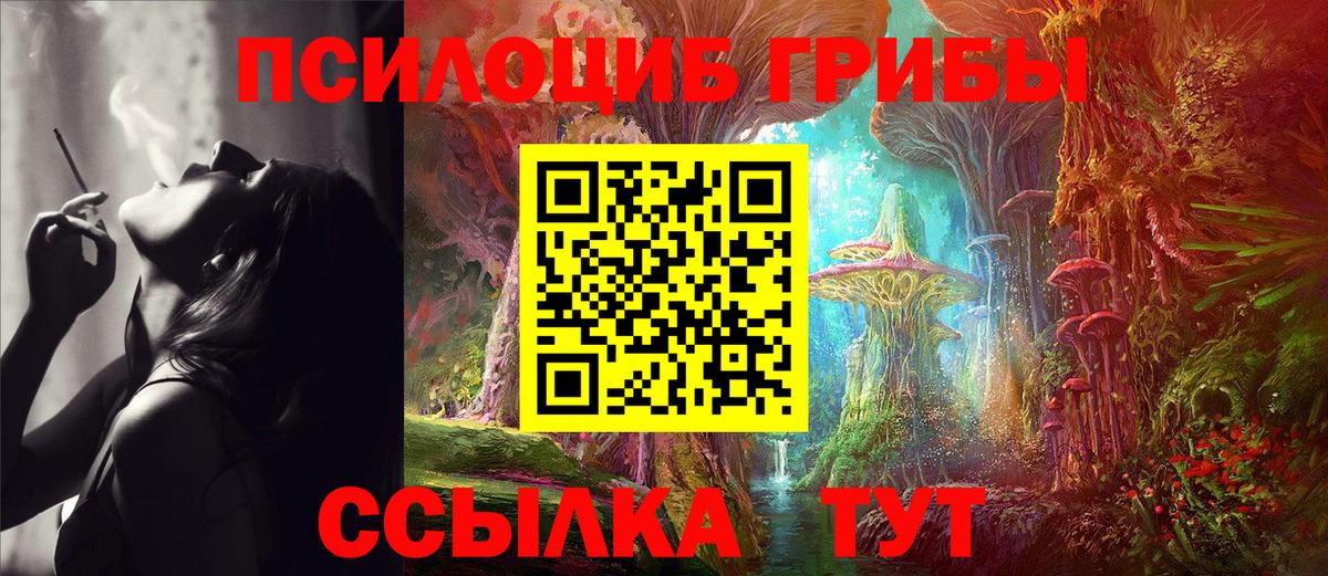 Галлюциногенные грибы Magic Shrooms  продажа наркотиков  Екатеринбург 
