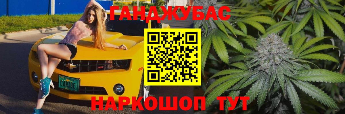 Екатеринбург  Бошки Шишки планчик  Конопля конопля  Вход с VPN  Канабис сатива 